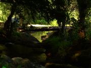 Regato con puente de madrea y lleno de cangrejos en O Caneiro, Trives, Ourense